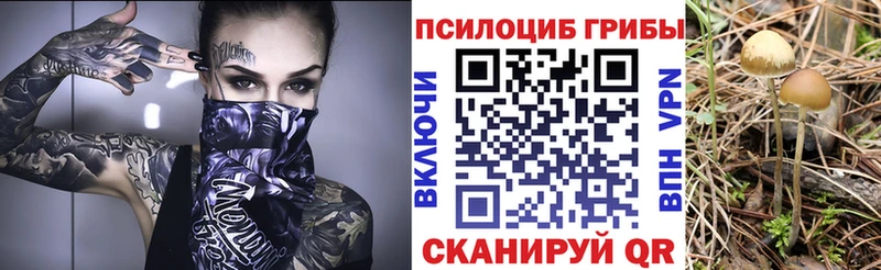 площадка наркотические препараты  Чебоксары  Галлюциногенные грибы Cubensis 